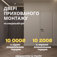 NS Doors прихованого монтажа з алюмінієвим торцем 