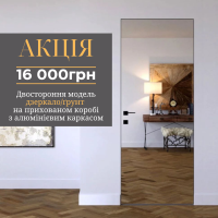 NSDoors  Alum дзеркало/грунт